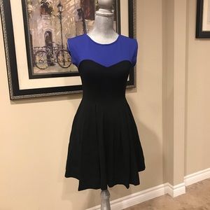 Colorblock Skater Dress 👗 NWT